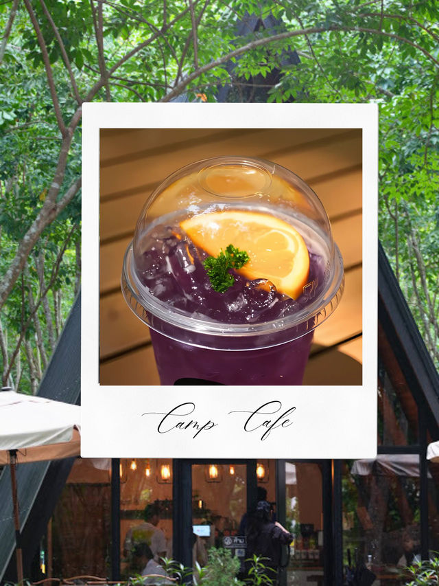 🧃Camp Cafe