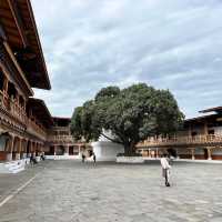 Punakha Dzong – Palace of Great Bliss & Cultural Grace