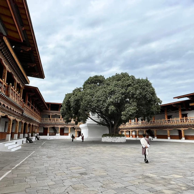 Punakha Dzong – Palace of Great Bliss & Cultural Grace