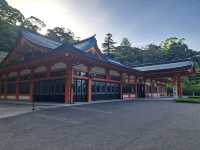 Spring Serenity at Kirishima Jingu