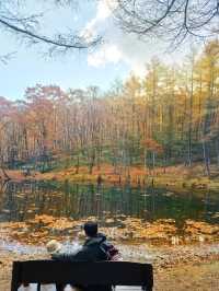 정선하이원가을하늘길트레킹여행🍁🍂