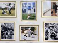 The White House – Heart of American Leadership