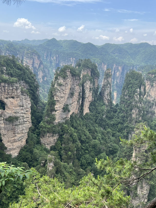 🌍 Exploring China – Nature on Steroids!