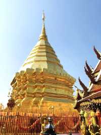 Taste buds on a spiritual journey. Chian