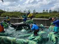 Haw Par Villa – Singapore’s Weirdest, Wildest Cultural Park