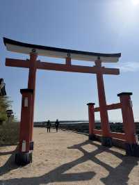 宮崎 神社巡り