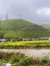 Munnar: India’s Emerald Escape in the Western Ghats