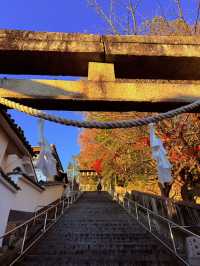 岡山｜守護倉敷400年宗像三女神 與延年益壽的還曆坂61階