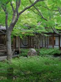【行く前にこれ見て】禅の境地へ誘う翠の庭園！🌿🐉※周辺観光情報付 