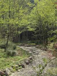 The most important mountain pass during Three Kingdom period