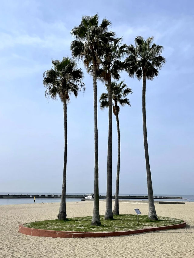 A Relaxing Day by the Sea in Kobe 🌊