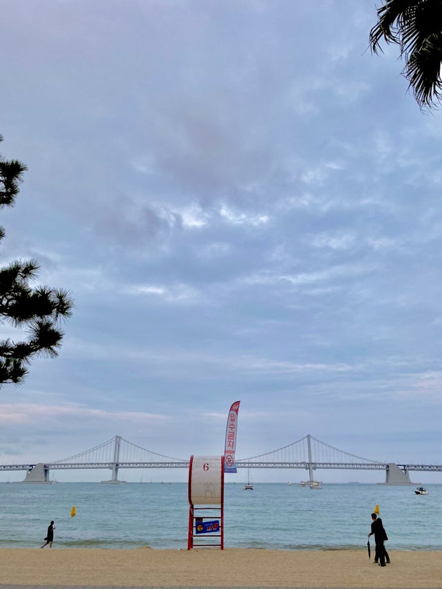 부산으로 떠난 힐링여행, 광안리부터 다대포까지