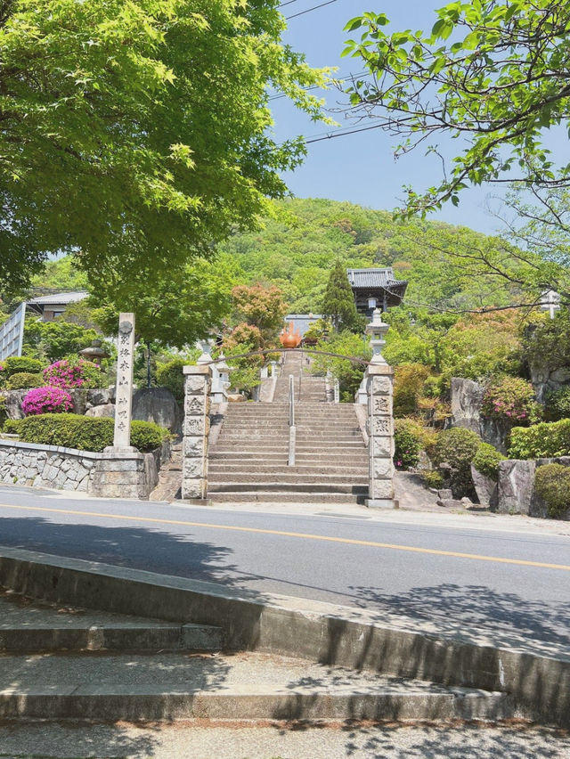【兵庫/西宮】神を呪う寺…⛩️？！