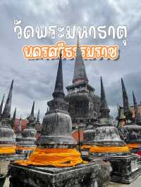 กราบมงคลคู่เมืองคอนฯ