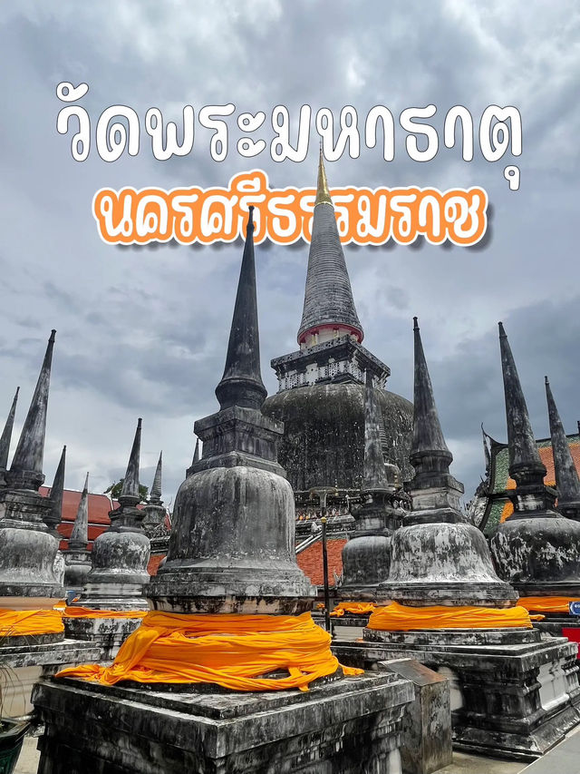 กราบมงคลคู่เมืองคอนฯ