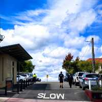 Sydney | Blue Mountains Day Trip 🏞️🚞