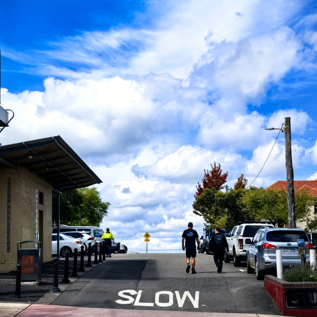 Sydney | Blue Mountains Day Trip 🏞️🚞