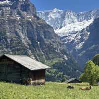 🇨🇭✨ สวิตเซอร์แลนด์ – ดินแดนในฝันที่มีอยู่จริง 🏔️