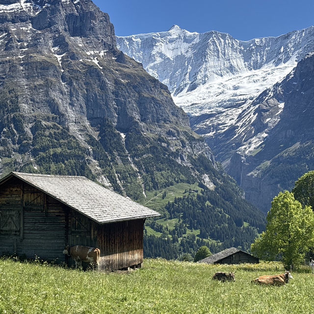 🇨🇭✨ สวิตเซอร์แลนด์ – ดินแดนในฝันที่มีอยู่จริง 🏔️