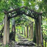 Chill Hike, Cool Vibes, and City Views