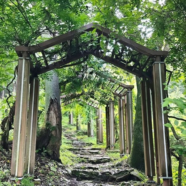Chill Hike, Cool Vibes, and City Views