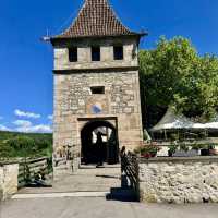 壯觀迷人的瀑布～瑞士萊茵瀑布 Rheinfall 