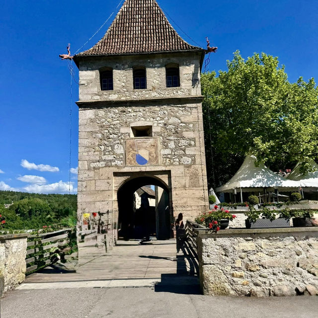 壯觀迷人的瀑布～瑞士萊茵瀑布 Rheinfall 