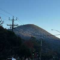 🌿 Car-Free Weekend Getaway | Warburton Half-Day Chill Trip 🍕🍦🚶‍♀️