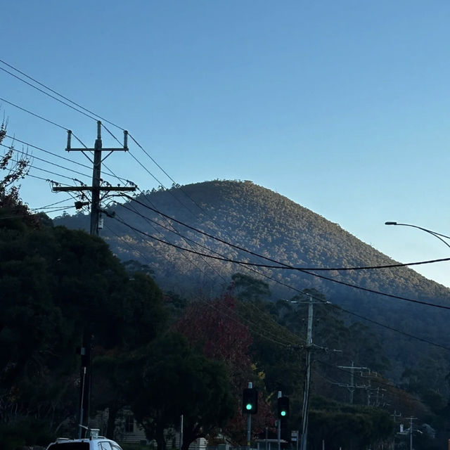 🌿 Car-Free Weekend Getaway | Warburton Half-Day Chill Trip 🍕🍦🚶‍♀️