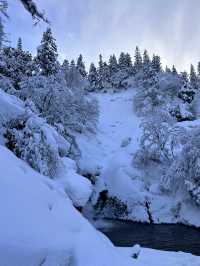 ❄️冬日限定的夢境：漫步銀山溫泉