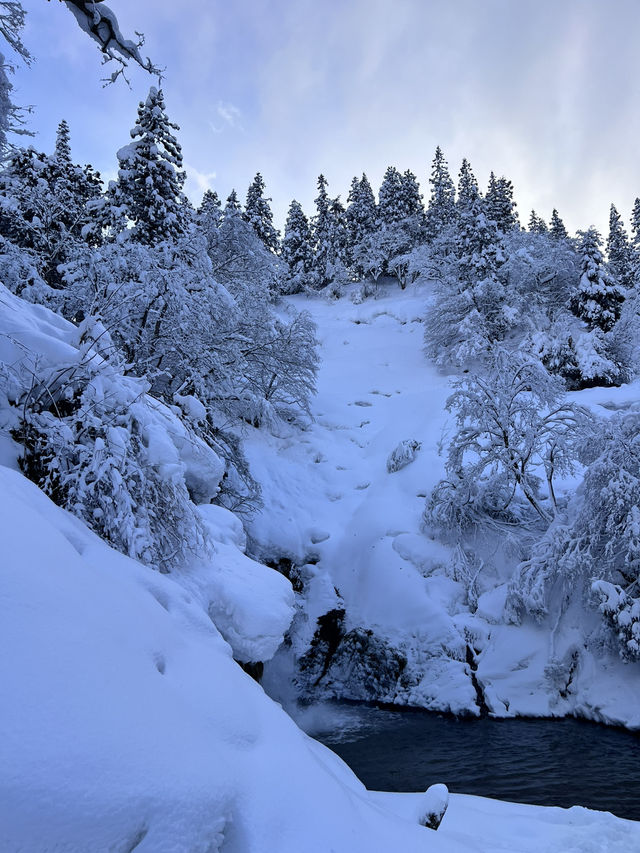 ❄️冬日限定的夢境：漫步銀山溫泉