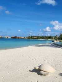 🌺 Waldorf Astoria Maldives Ithaafushi – Your Private Island Fantasy 🐬🌅