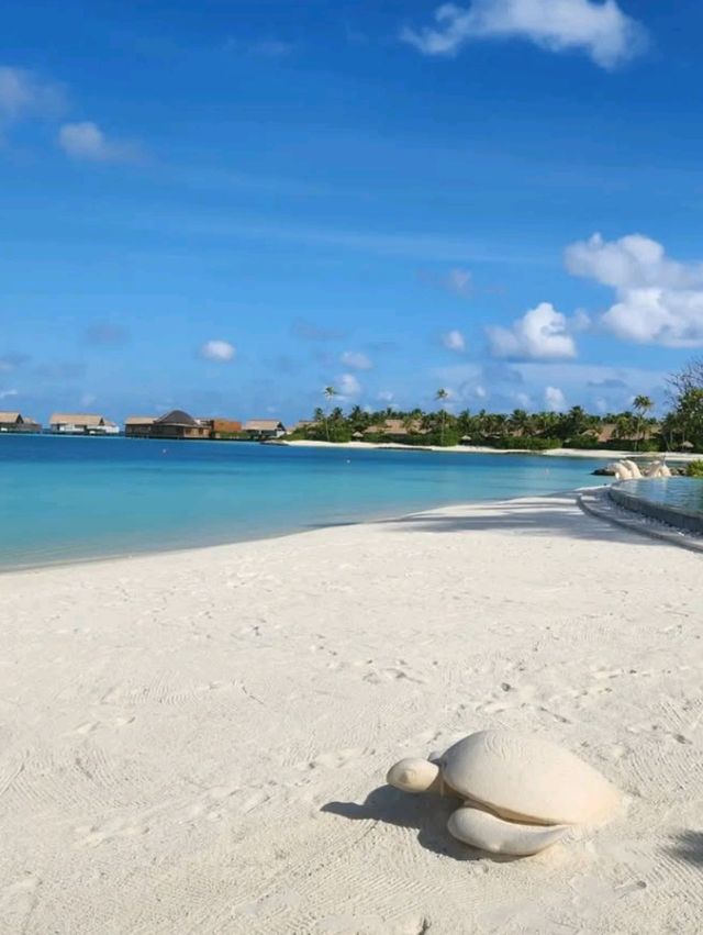 🌺 Waldorf Astoria Maldives Ithaafushi – Your Private Island Fantasy 🐬🌅