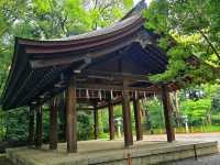 Meiji Shrine & Yoyogi Park – Tokyo’s Tranquil Core