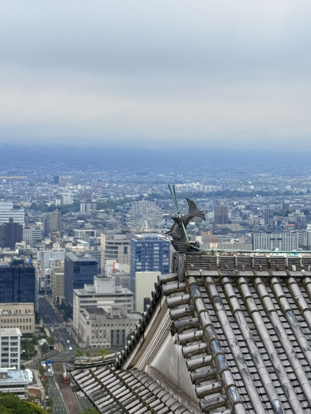 松山｜3個家族4種家徽 多次火災重建的機關巧妙的松山城 