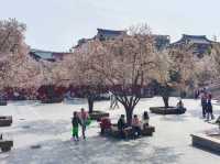 🇨🇳 เจดีย์ห่านป่าใหญ่ (Giant Wild Goose Pagoda)