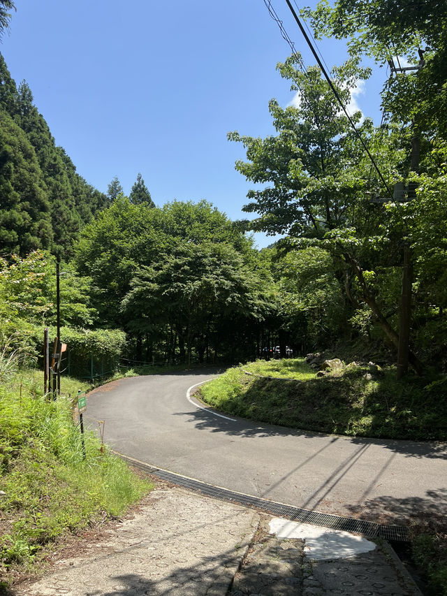 Isehara with the 💕🧸🐻