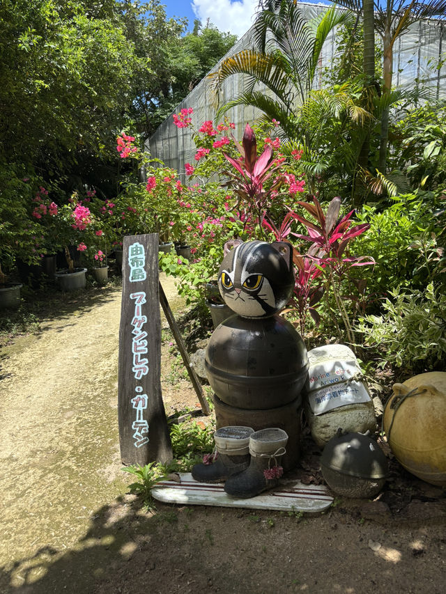 西表島から由布島へ
