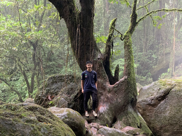 🌿 Bengoh Dam：在雨林秘境走一場真實的冒險