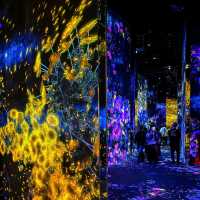 Lost in Light: The Spellbinding World of teamLab Borderless Tokyo 🇯🇵