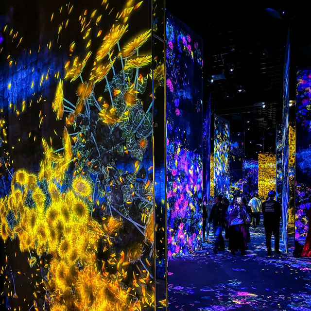 Lost in Light: The Spellbinding World of teamLab Borderless Tokyo 🇯🇵