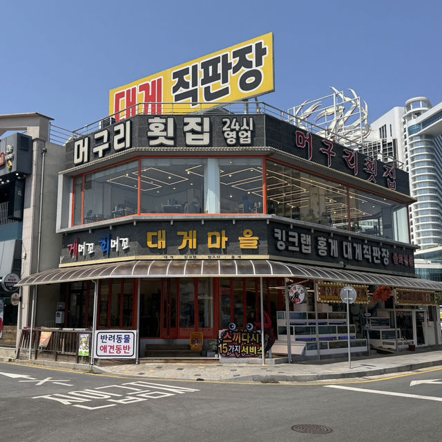 속초 대포항 근처 횟집 머구리횟집