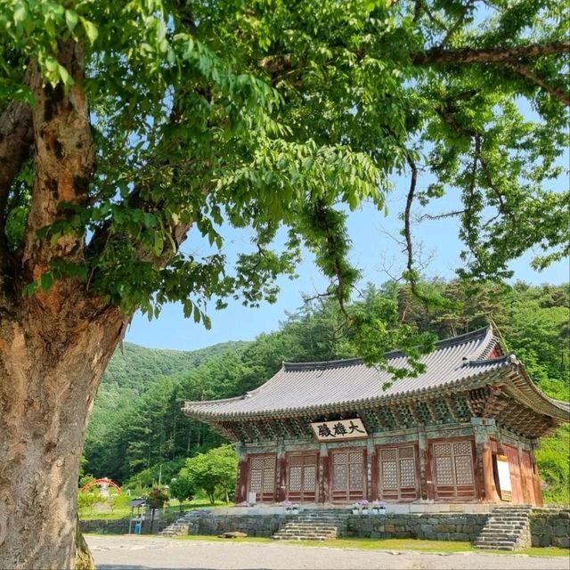 Time Travel (Kinda) in Buyeo