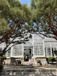 Changdeokgung Palace & Secret Garden – A Serene Royal Retreat in Seoul
