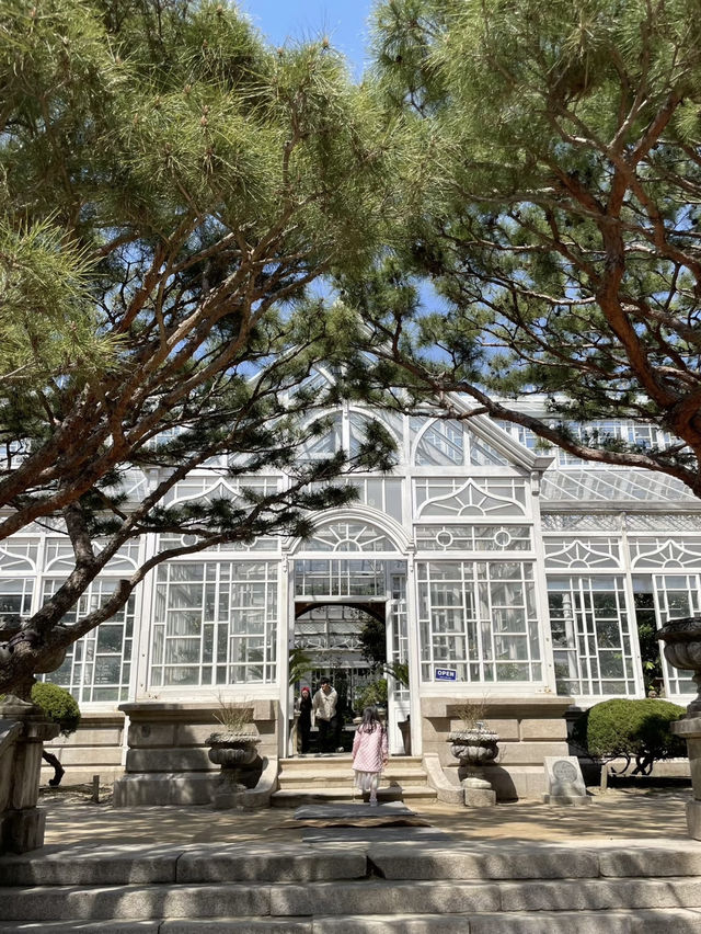 Changdeokgung Palace & Secret Garden – A Serene Royal Retreat in Seoul