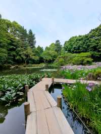 京都 | 平安神宮神苑，彷彿走入莫內的花園