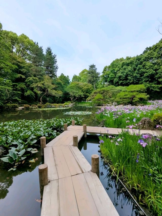 京都 | 平安神宮神苑，彷彿走入莫內的花園