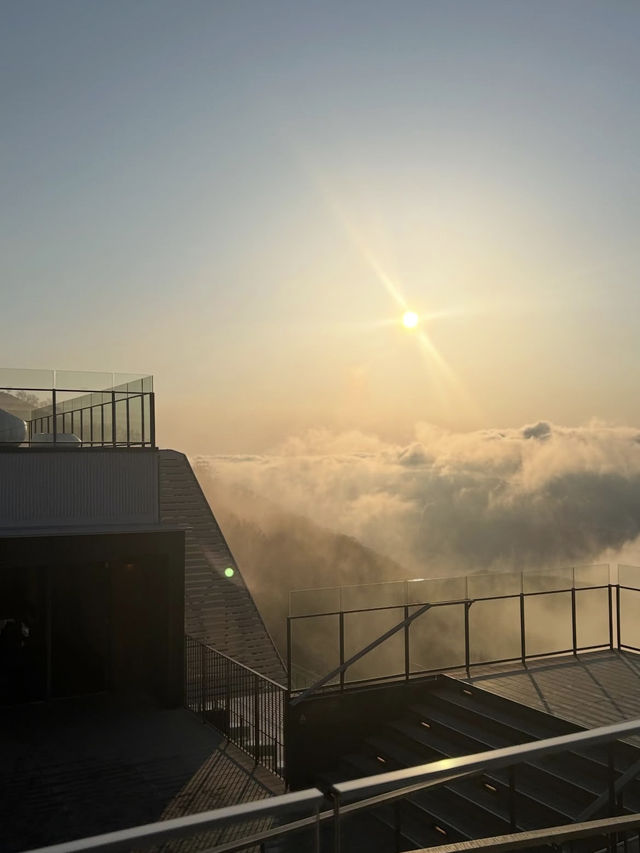 🎯【北海道・富良野雲海テラス（トマム）】朝焼けと雲海が出会う、天空のティータイム 