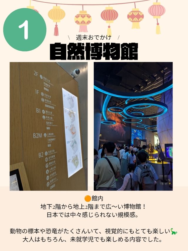 🇨🇳超巨大！自然博物館へ