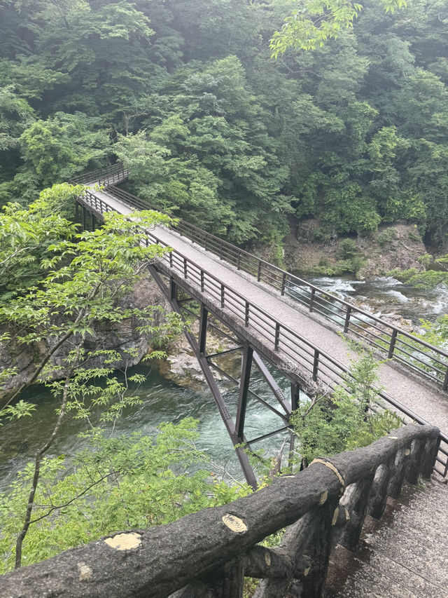 【日光で大自然を満喫する】龍王峡🐲虹見滝🌈虹見橋🌉